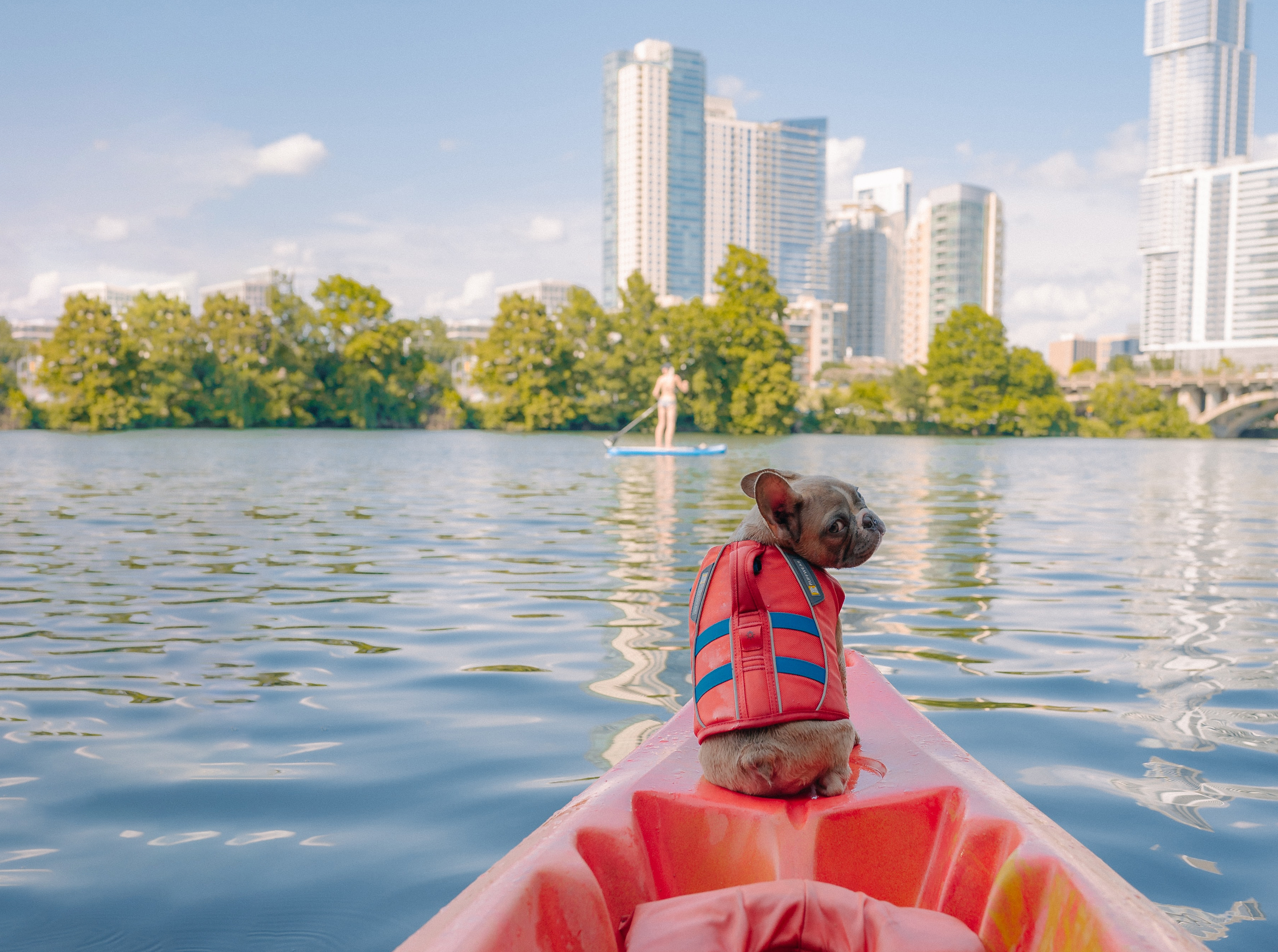 Kayak w doggy with city skyline in background.
