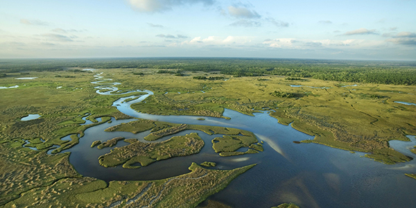 Aerial view of vast wetlands area.