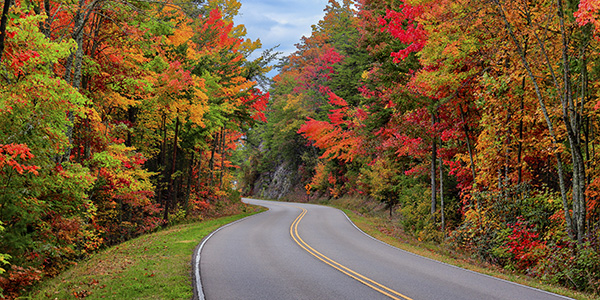 Autumn colors along the Foothills Parkway near Gatlinburg, Tennessee