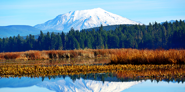 Mt St Helens reflecting in Silver Lake