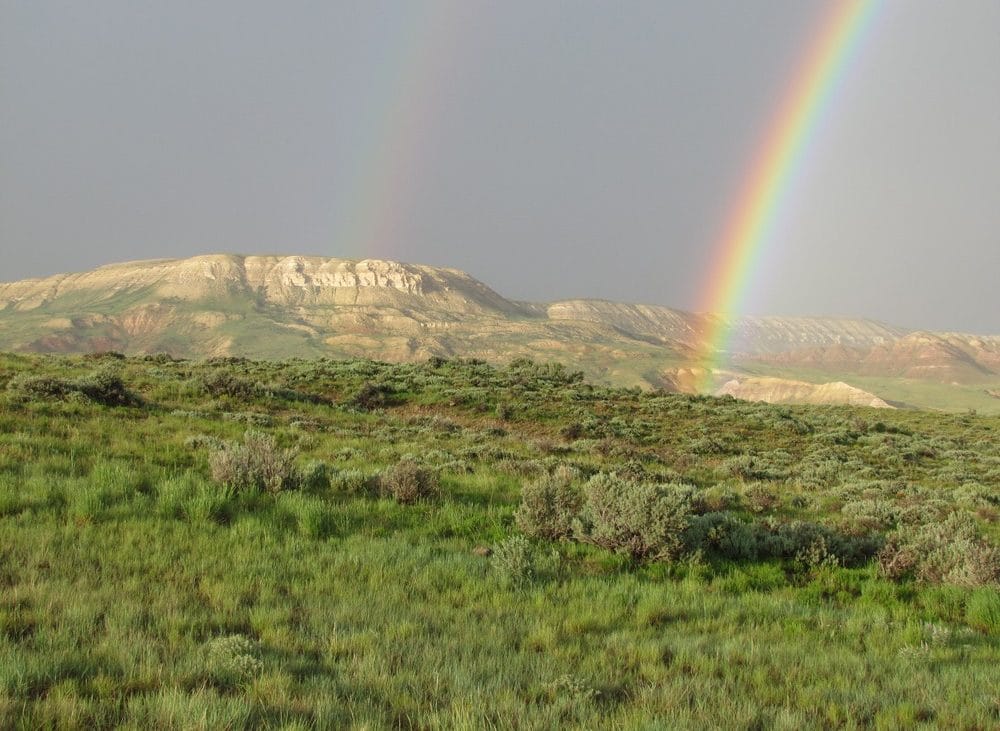 A rainbow arches over terrain in Fossil Butte.
