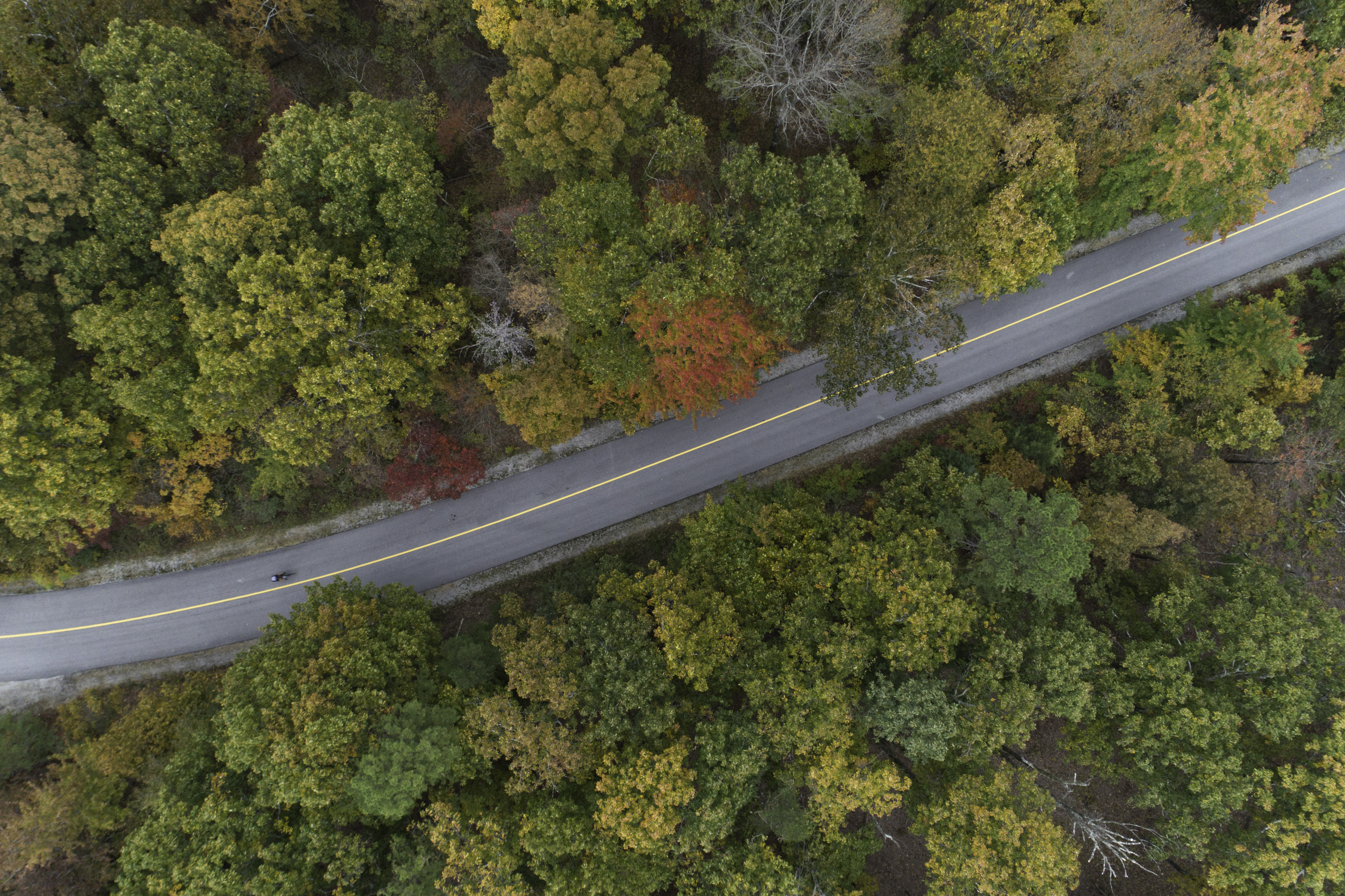 Aerial shot of lone cyclist on two-lane road