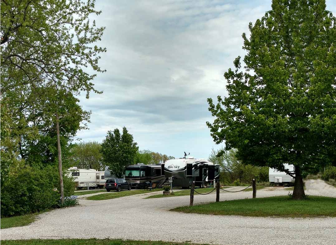 RVs in a campground surrounded by trees.