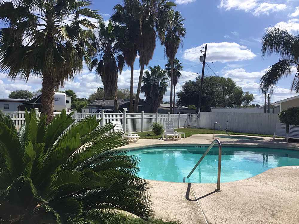 Small pool with palm trees overhead