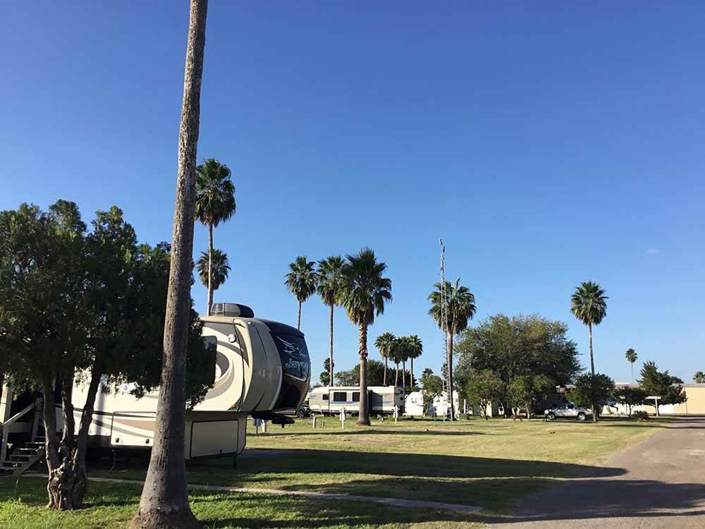 RVs on grassy sites with palm trees overhead.