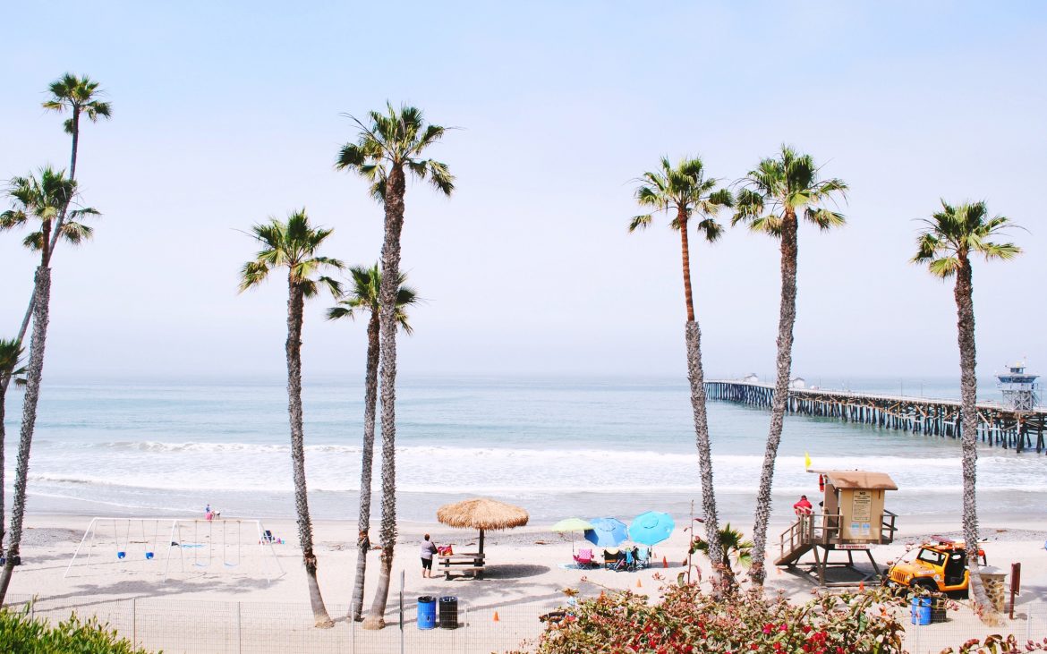 San Clemente Pier with palm tree clusters and lifeguard tower