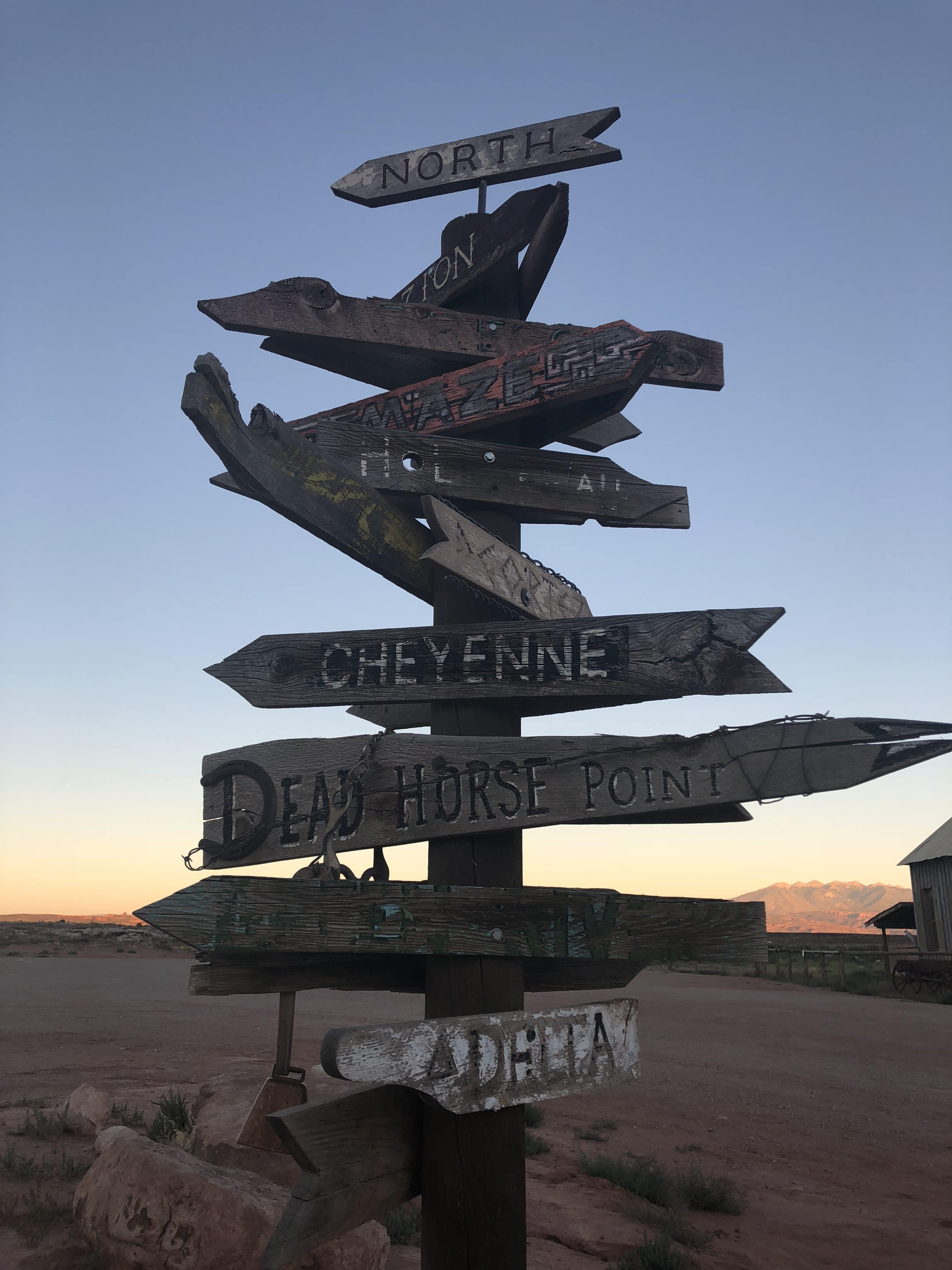 Signs pointing in different directions in a desert