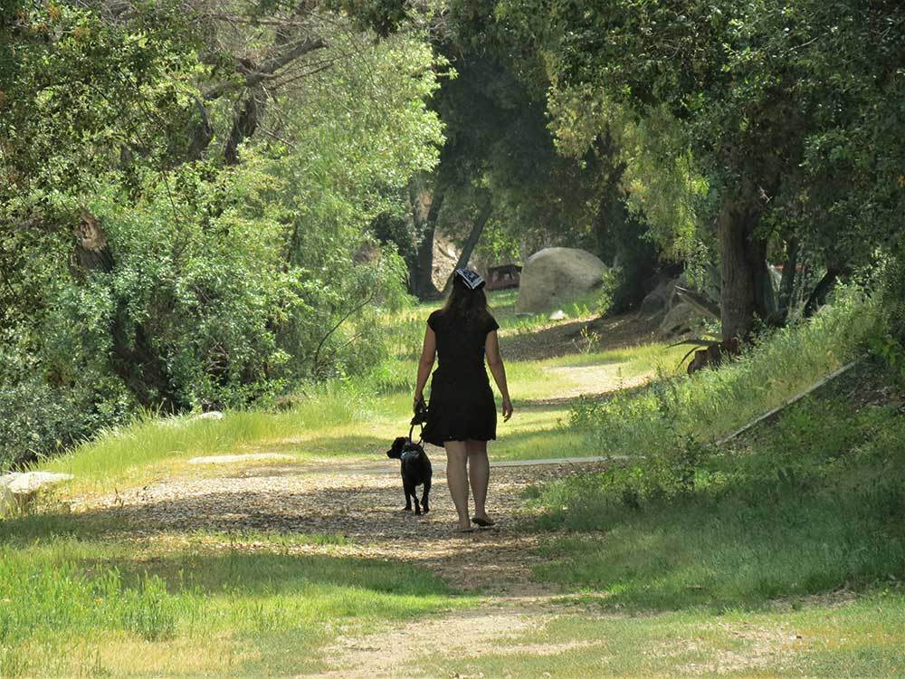 Woman hiking a shaded trail with black dog.