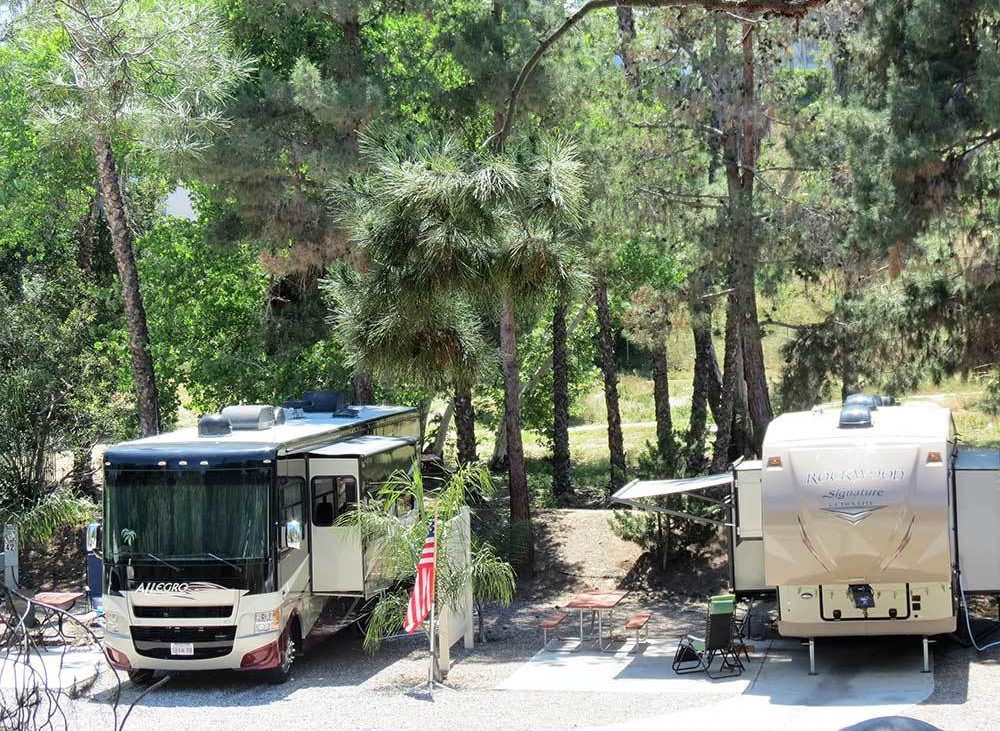 RVs parked againsta. lush forest background.