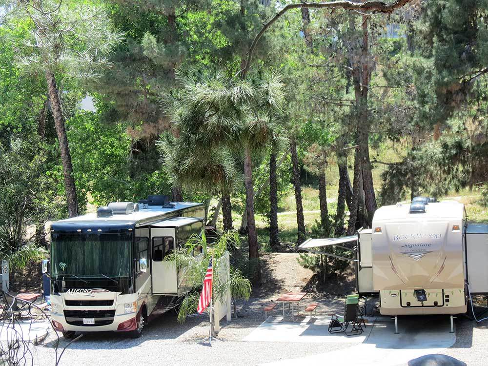 RVs parked againsta. lush forest background.