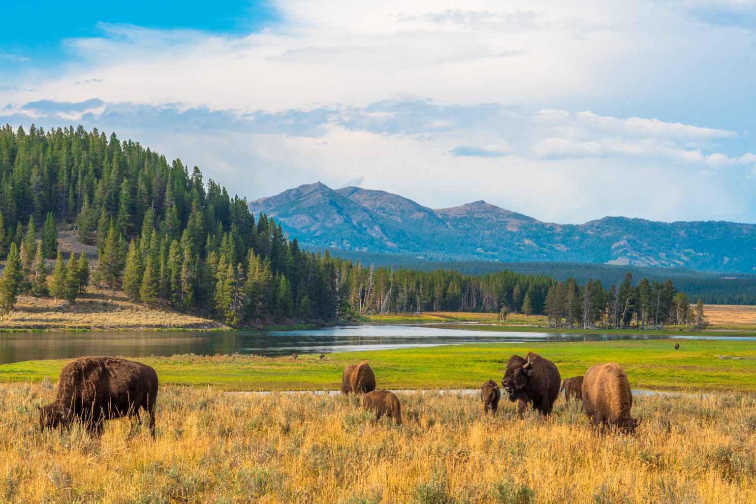 Take a Western Wyoming Itinerary on the Wild Side  Good Sam