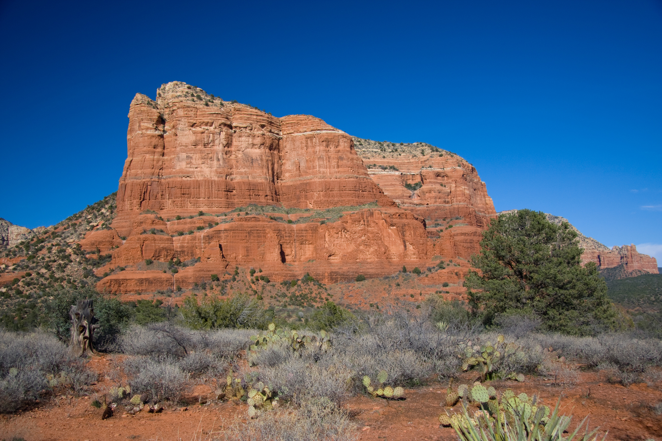 A rugged rock butte against a blue desert sky.
