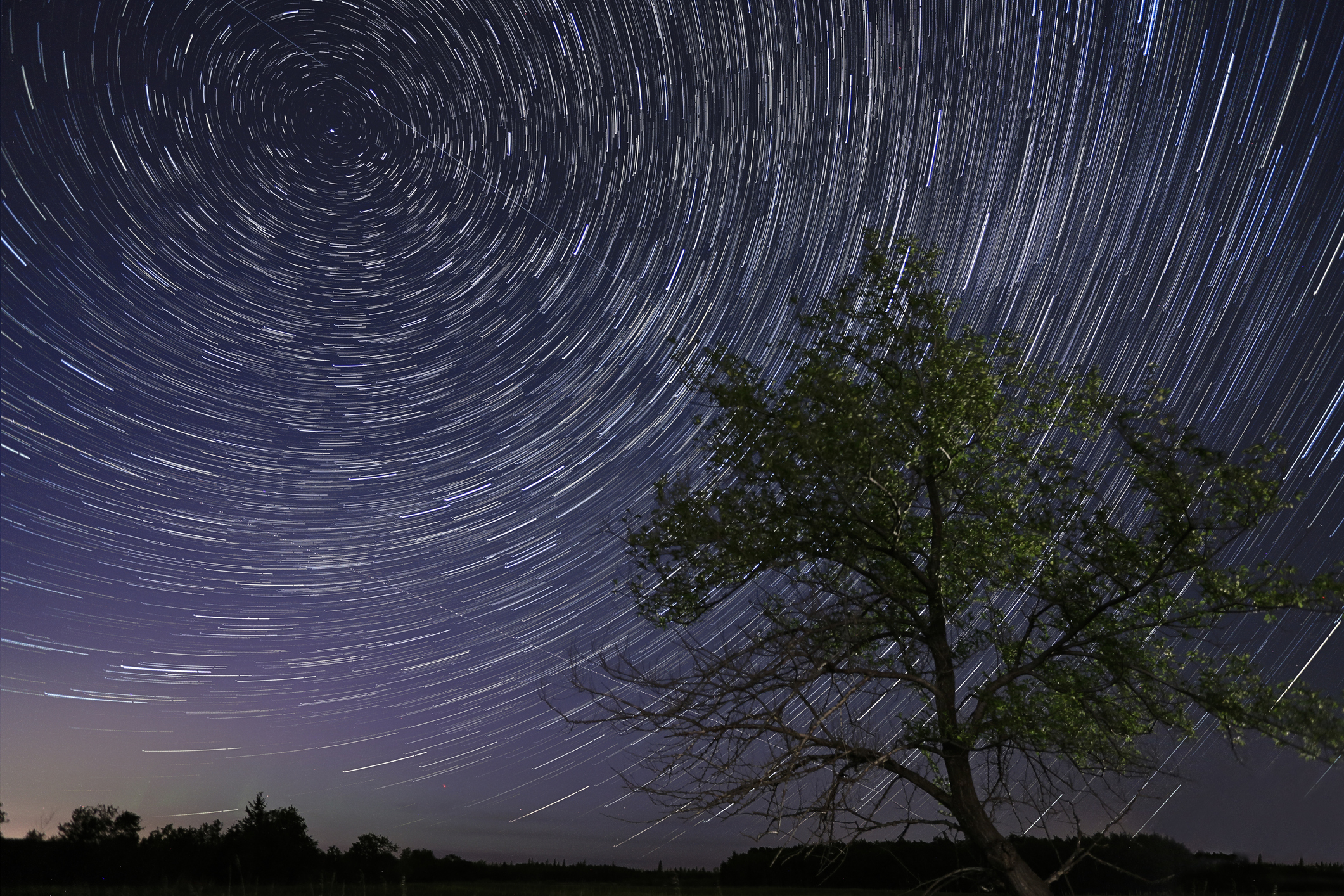Stars wheel across the sky in extended camera exposure.