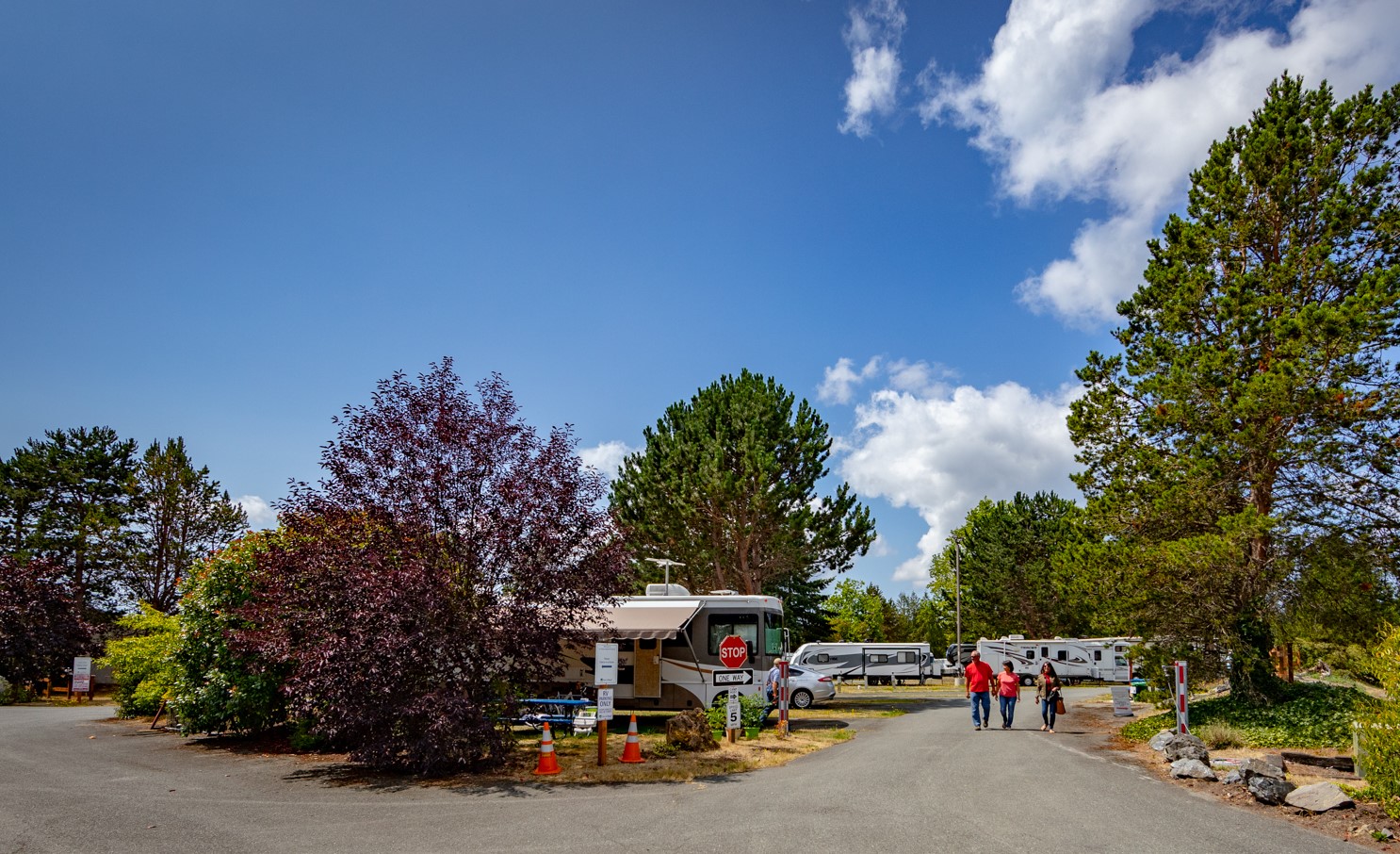 beautiful Skagit Valley — campers stroll through a tree-lined RV park