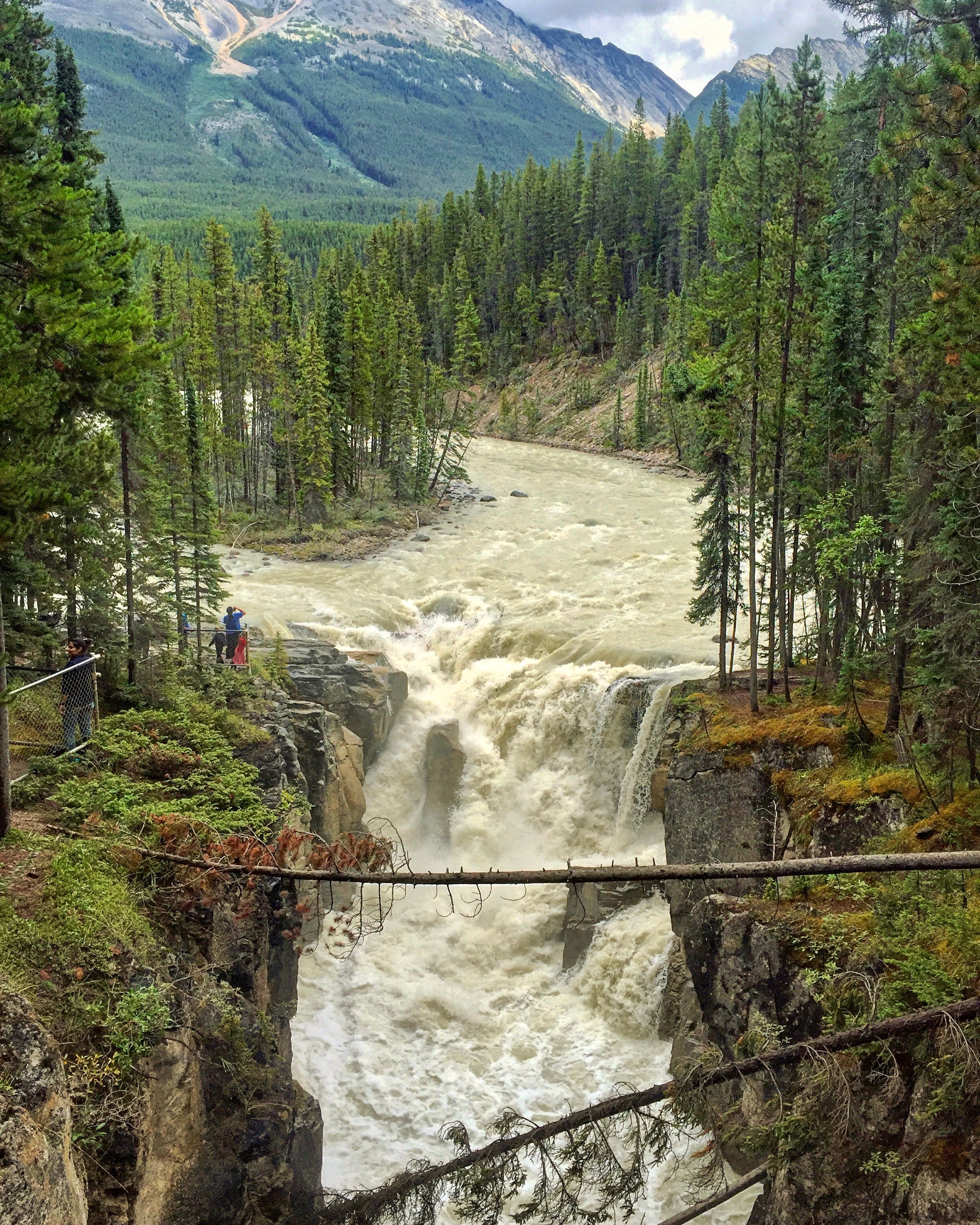 Waterfalls gushes over a cliff. 