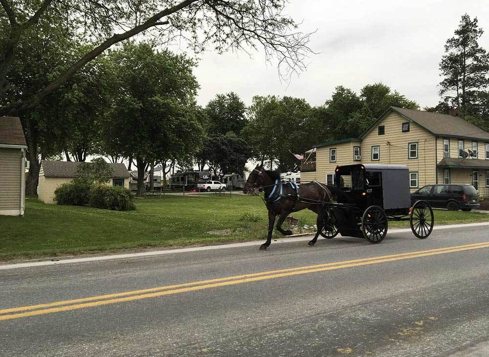 Horse pulls an Amish buggy down a street.