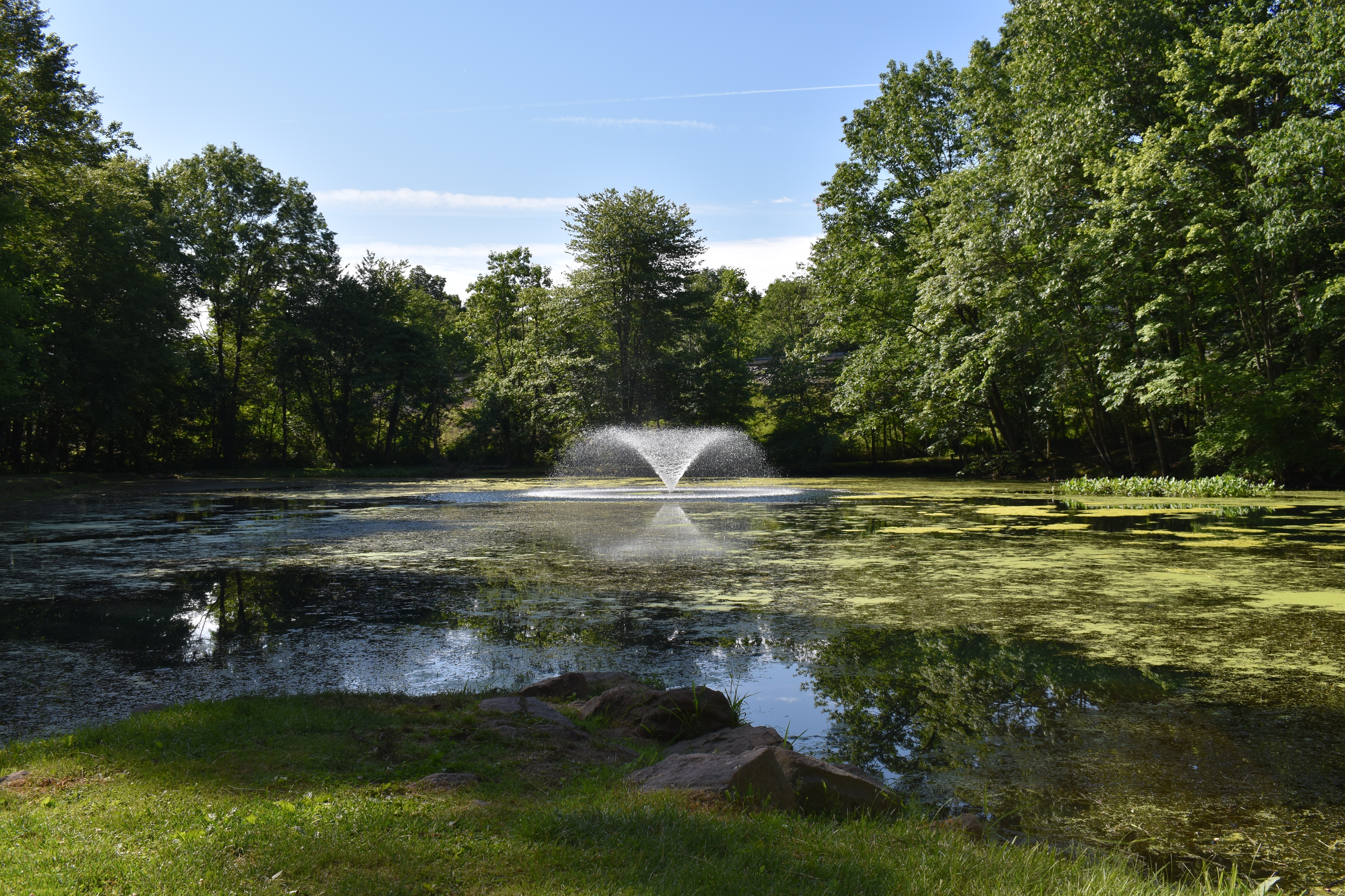 Fountain in the middle of a pond.