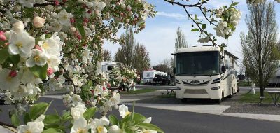 Touring the Columbia Basin — Flowers bloom in foreground of picture showing RV at campsite.