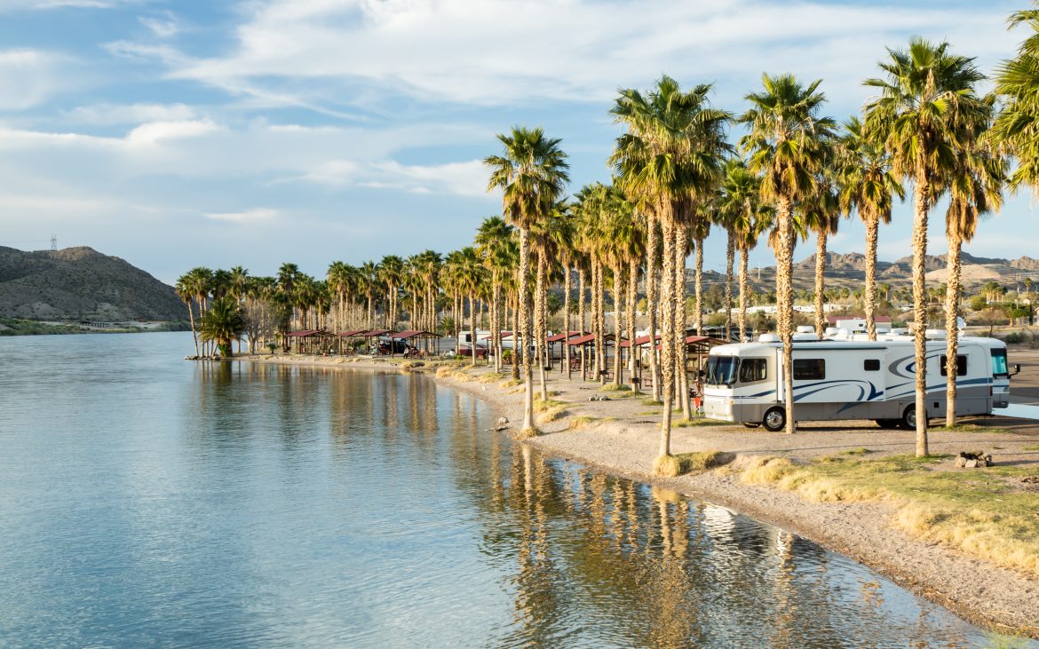 Motorhome parked on a river bank under a row of palm trees.