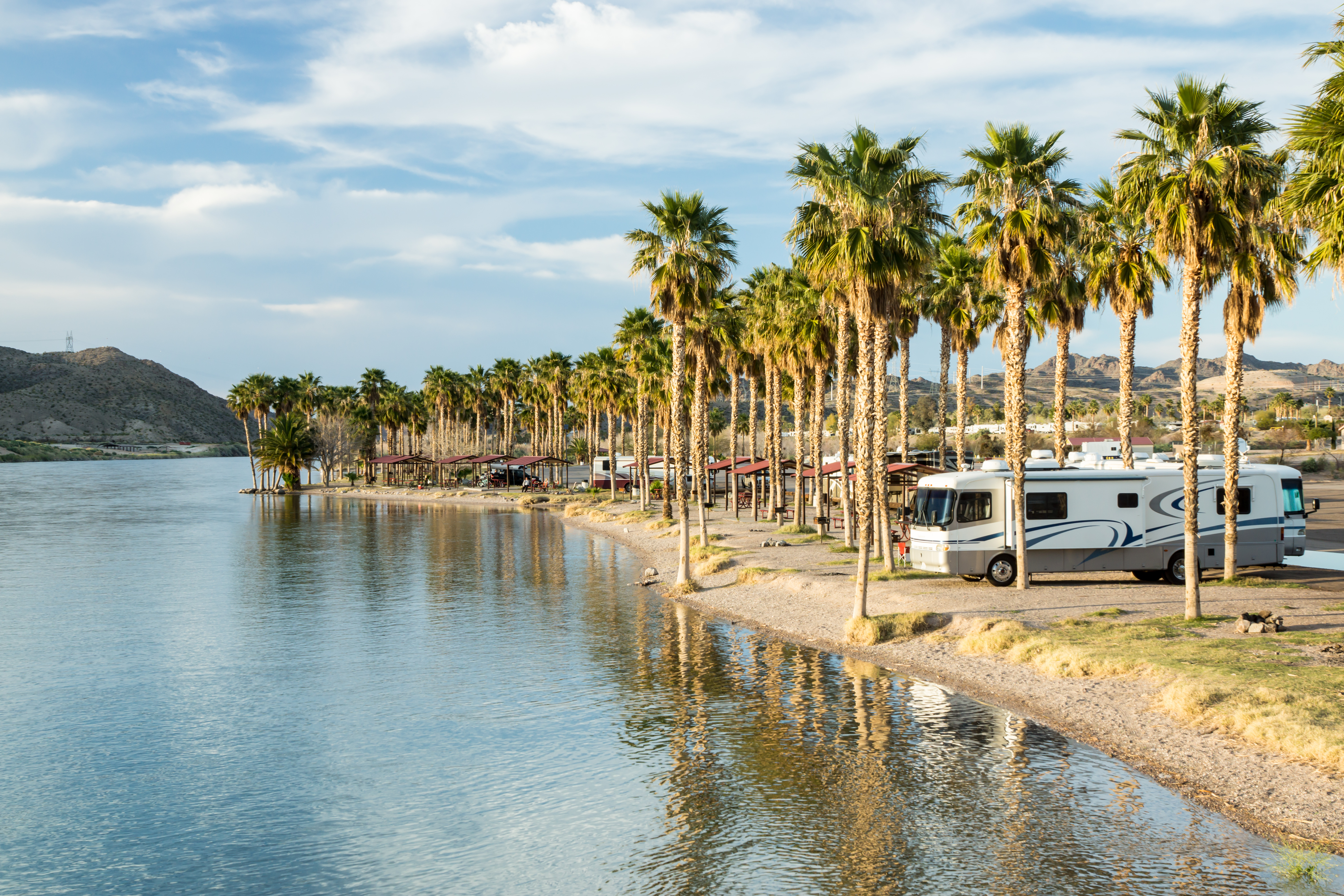 Motorhome parked on a river bank under a row of palm trees.