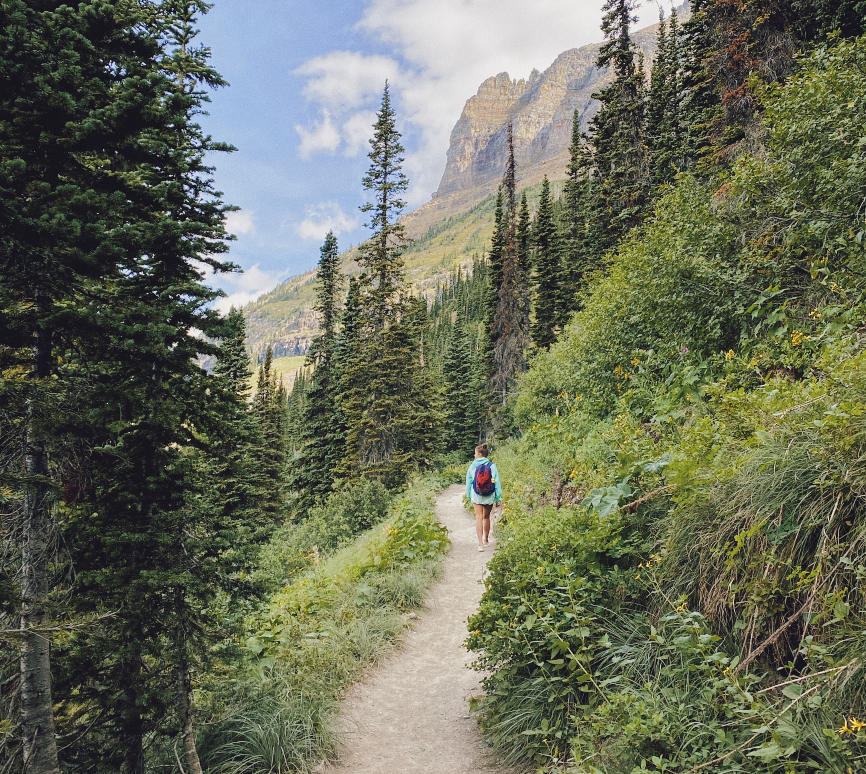 A woman hikes away from the camera on a trail fringed with rich brush. 