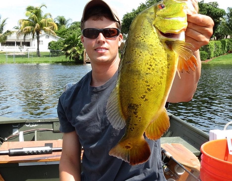 Young man holding up peacock bass fish
