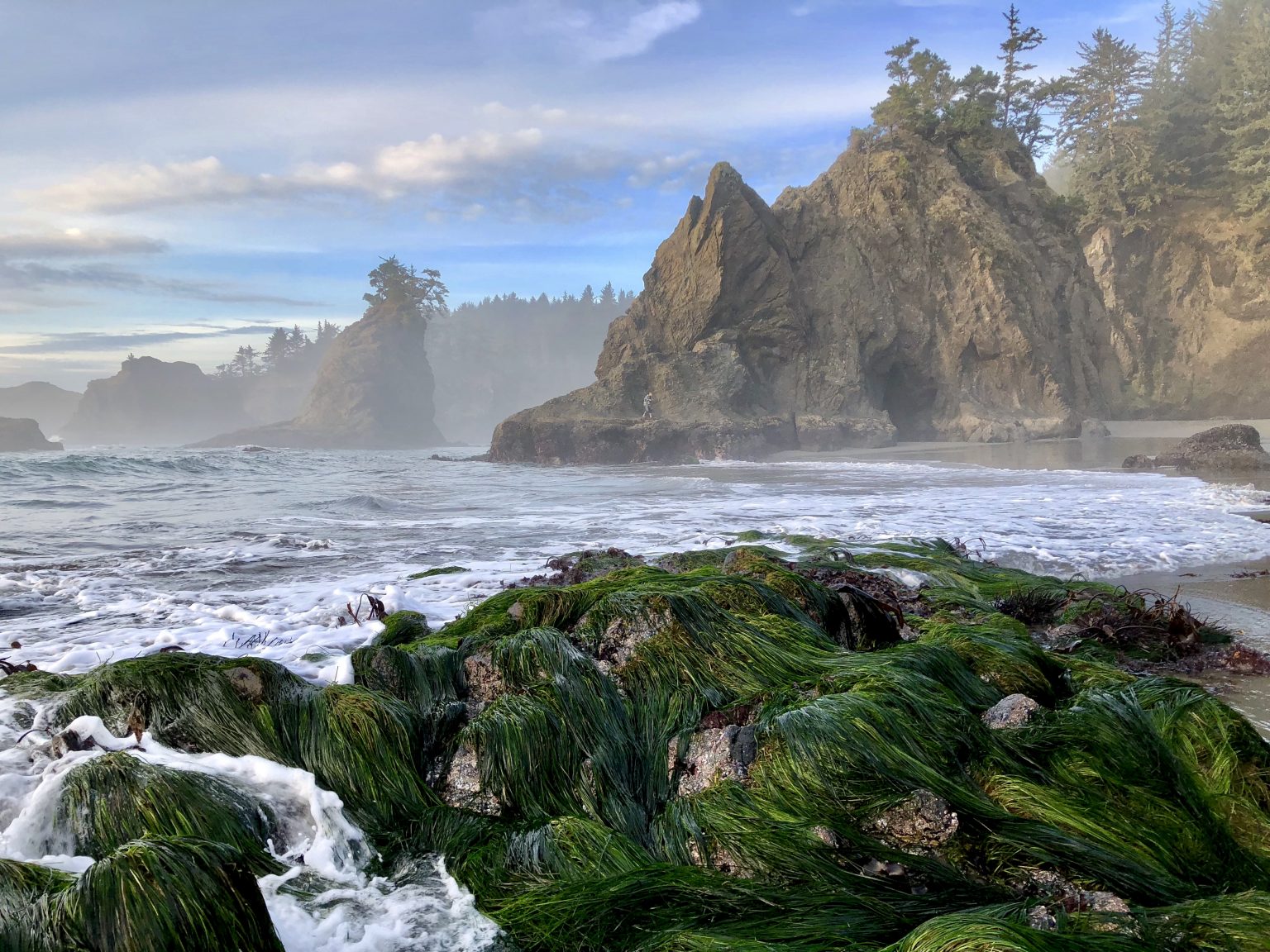 The Gorgeous Oregon Coastline Is a Beachcomber's Paradise | Good Sam