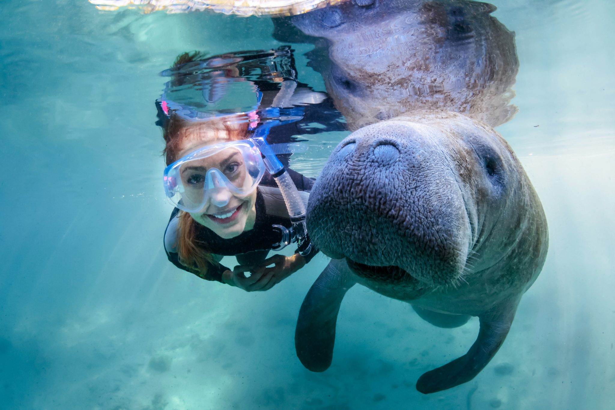 manatee tours in crystal river