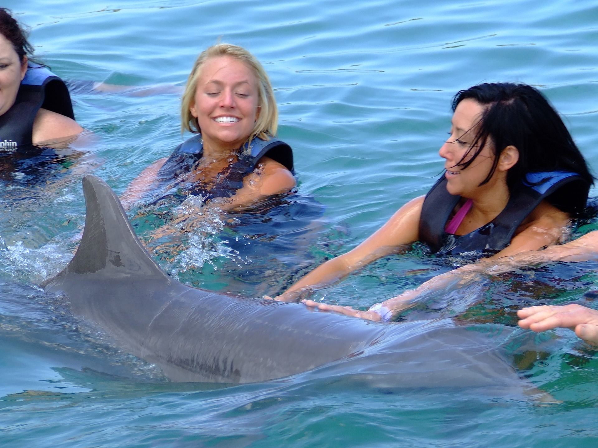 Women swim with a dolphin.