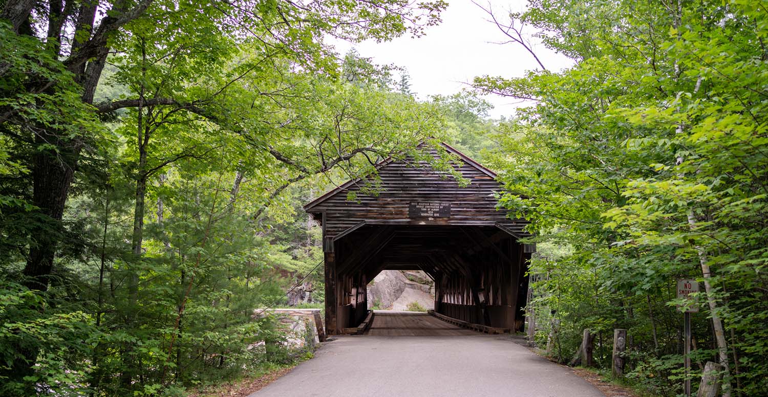A covered bridge at the end of a road that is flanked by green, leafy trees.