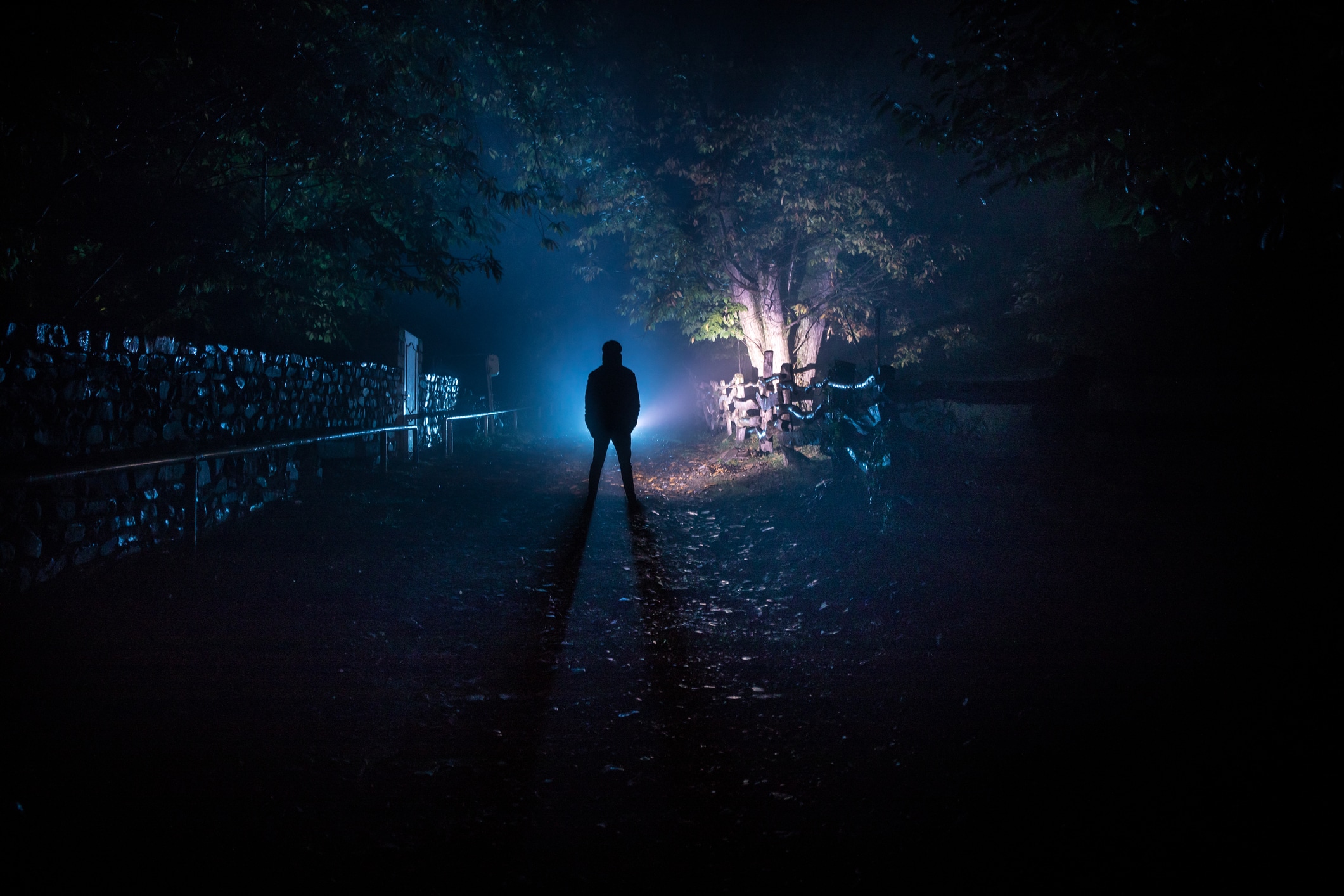 Silhouette of person standing in the dark forest with light. 