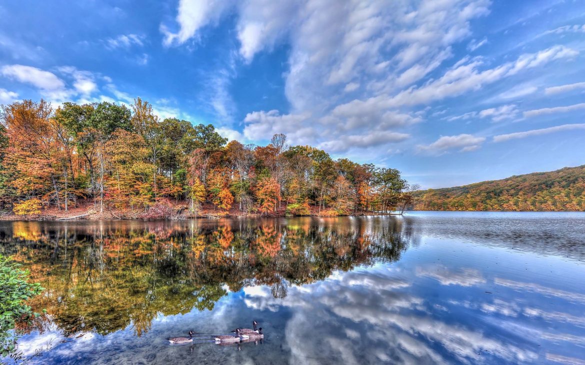 Baltimore's natural side — A shoreline crowded with trees dappled with fall colors reflected on the water.