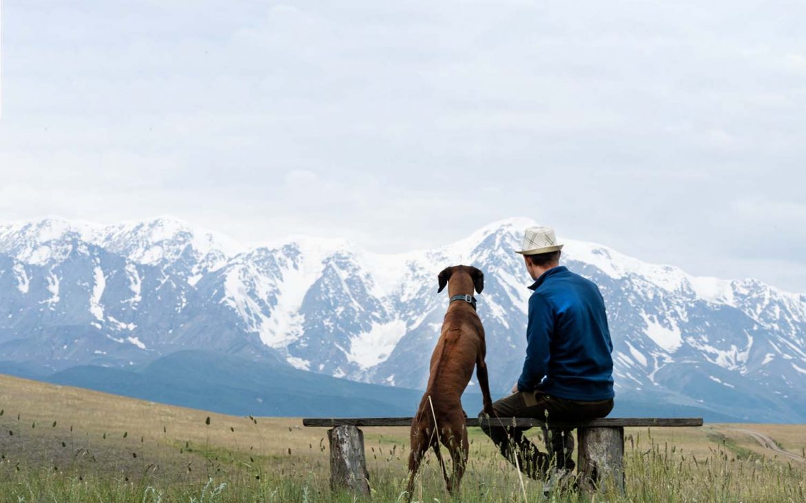 Safeguarding Your Pet — A guy with a dog sits on a bench and admires the mountain scenery. Traveling with a dog. Rhodesian Ridgeback travels with its owner.