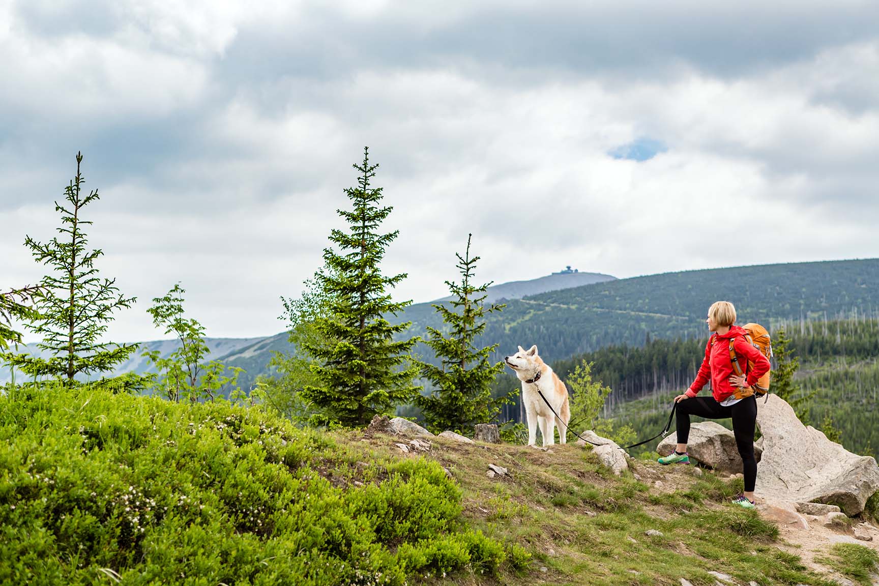 Woman hiking with akita inu dog on mountain trail. 