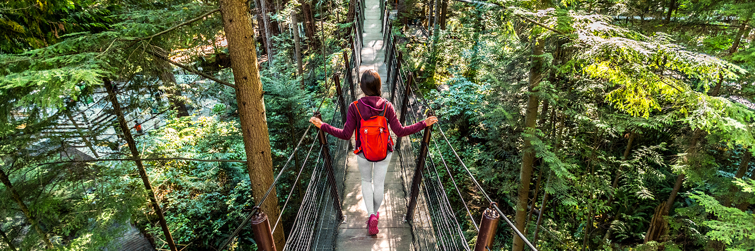 Woman walking over a bridge flanked by lush trees and ferns.