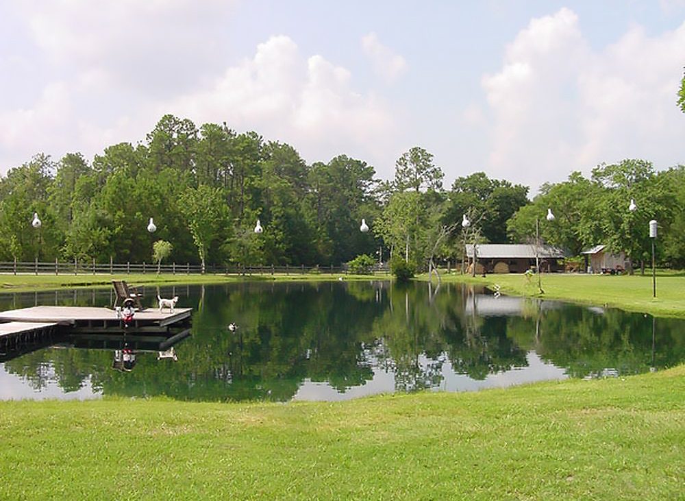 A large pond surrounded by a green lawn reflects trees.