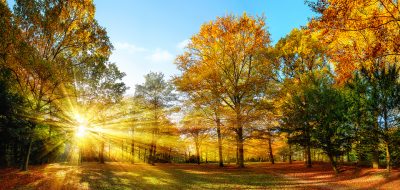 America’s Mid-Atlantic Region Embraces Autumn—Sunlight peaks through autumn trees.
