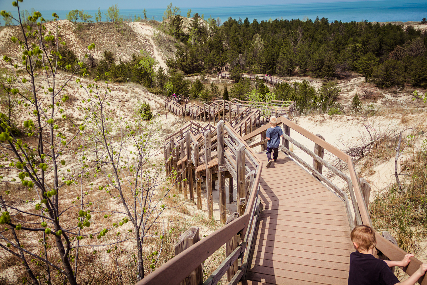 Tourists descend stairs that lead to dunes and forests on a beach.