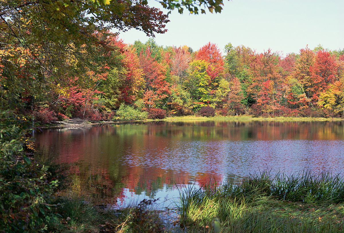 Trees blazing with fall colors surround a small lake.