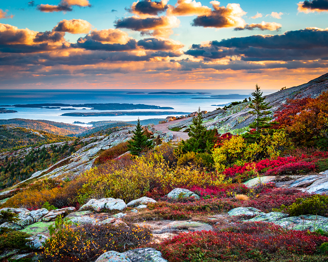 Trees and colorful flowers grow on a rocky slope.