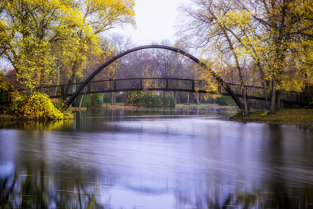 Elegant bridge arches over a calm river amid fall trees.