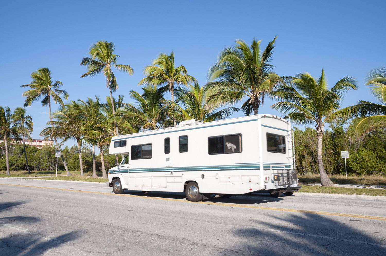 Motorhome parked near some palm trees