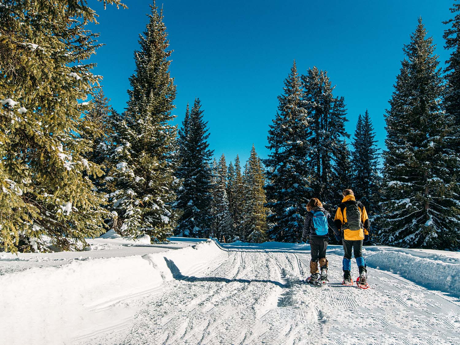 A man and woman taking a snowshoe walk in a winter landscape.