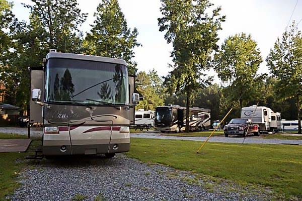 RVs parked in a woodsy campground.