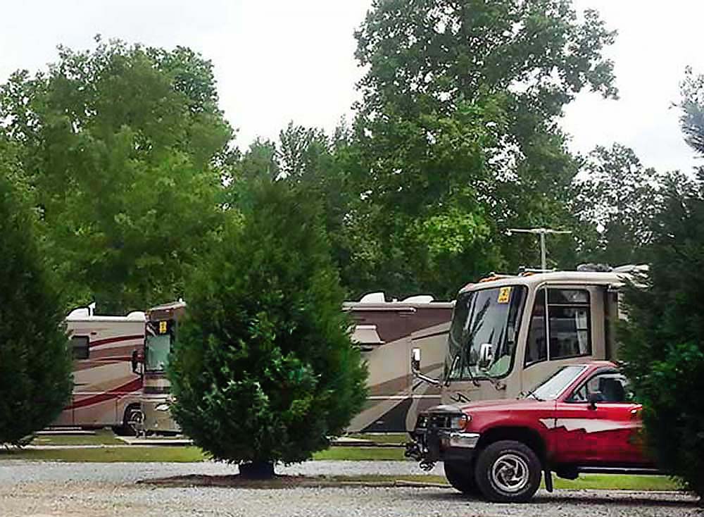 RVs and vehicles parked in neat spaces amid lush trees.