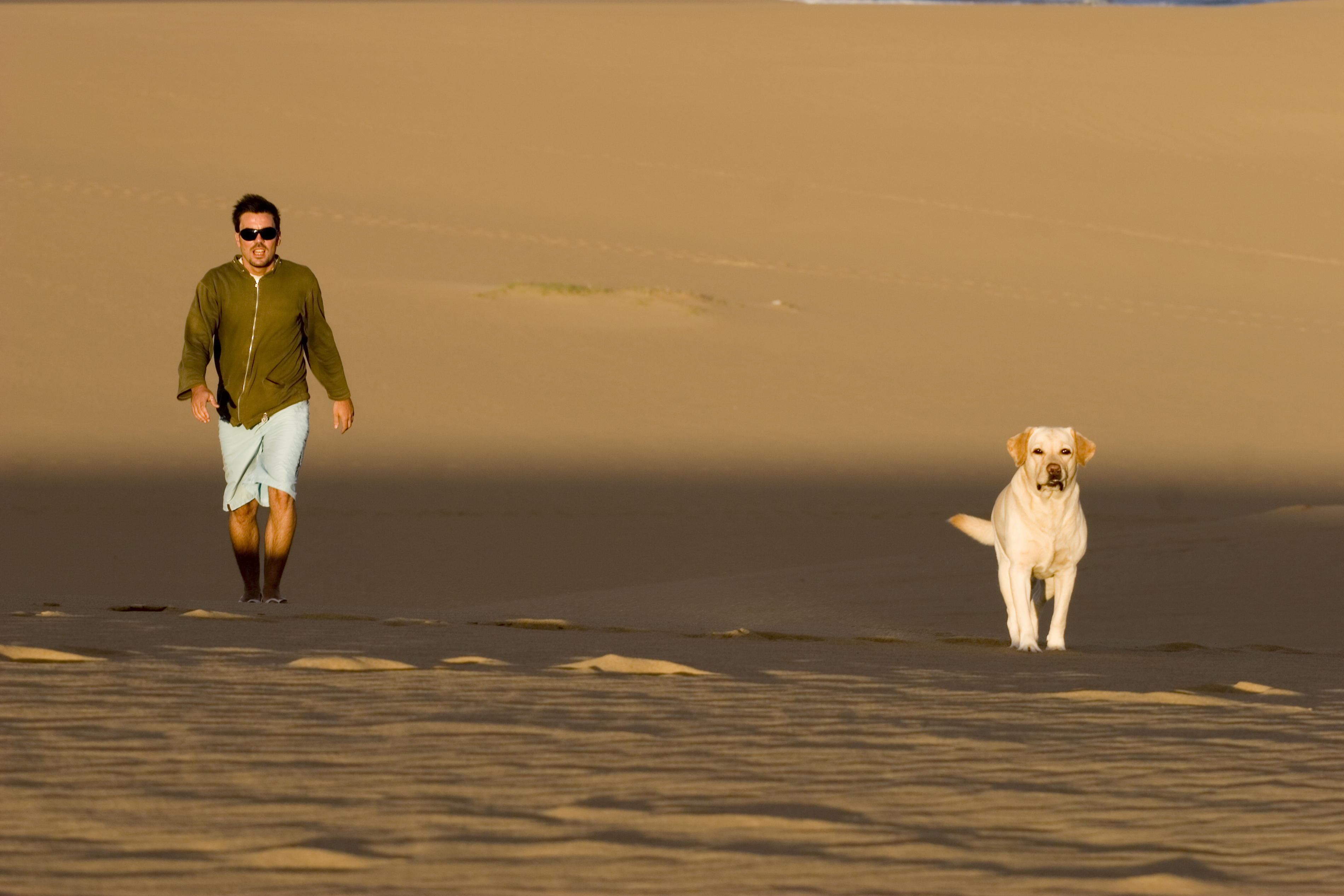 Man and his dog walking on the dunes outside of Las Cruces