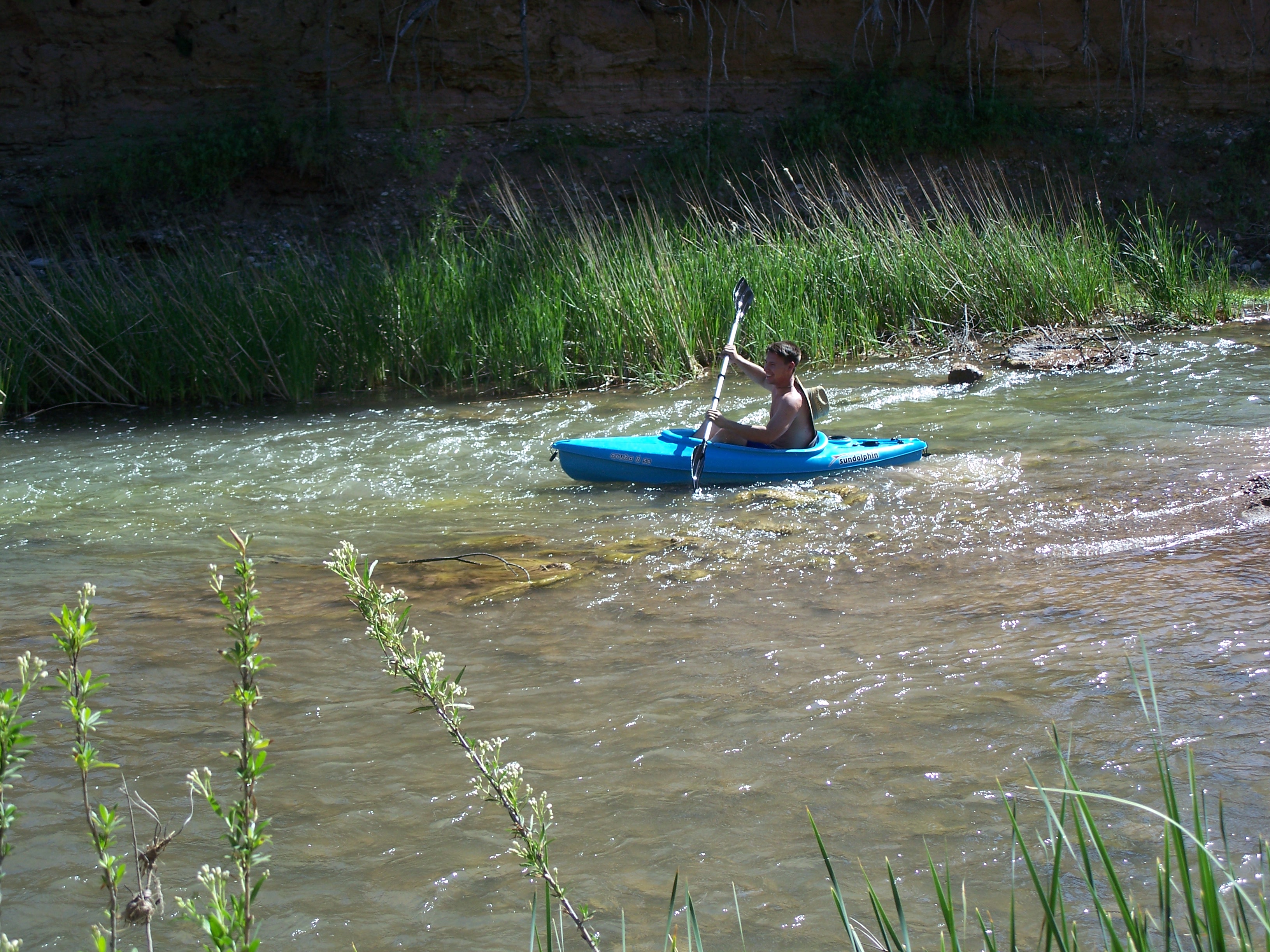 A kayaker navigates fast-moving waters fringed by reeds.