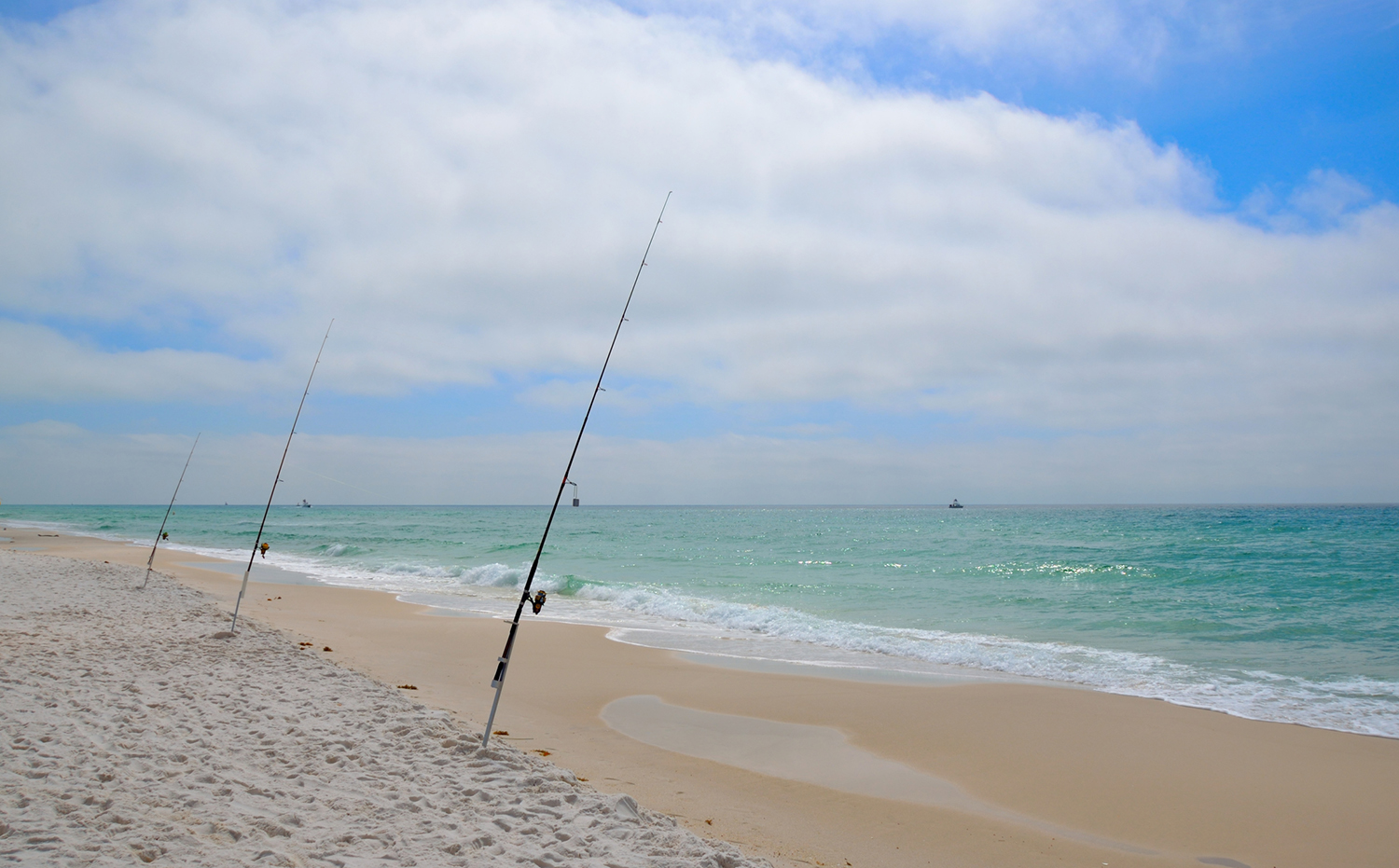 Fishing poles planted in the sand.