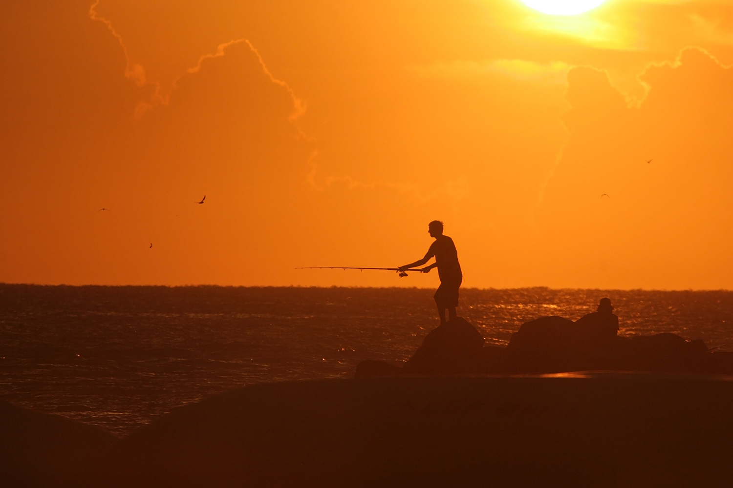 Silhouette of man fishing at sunset as seagulls fly around.
