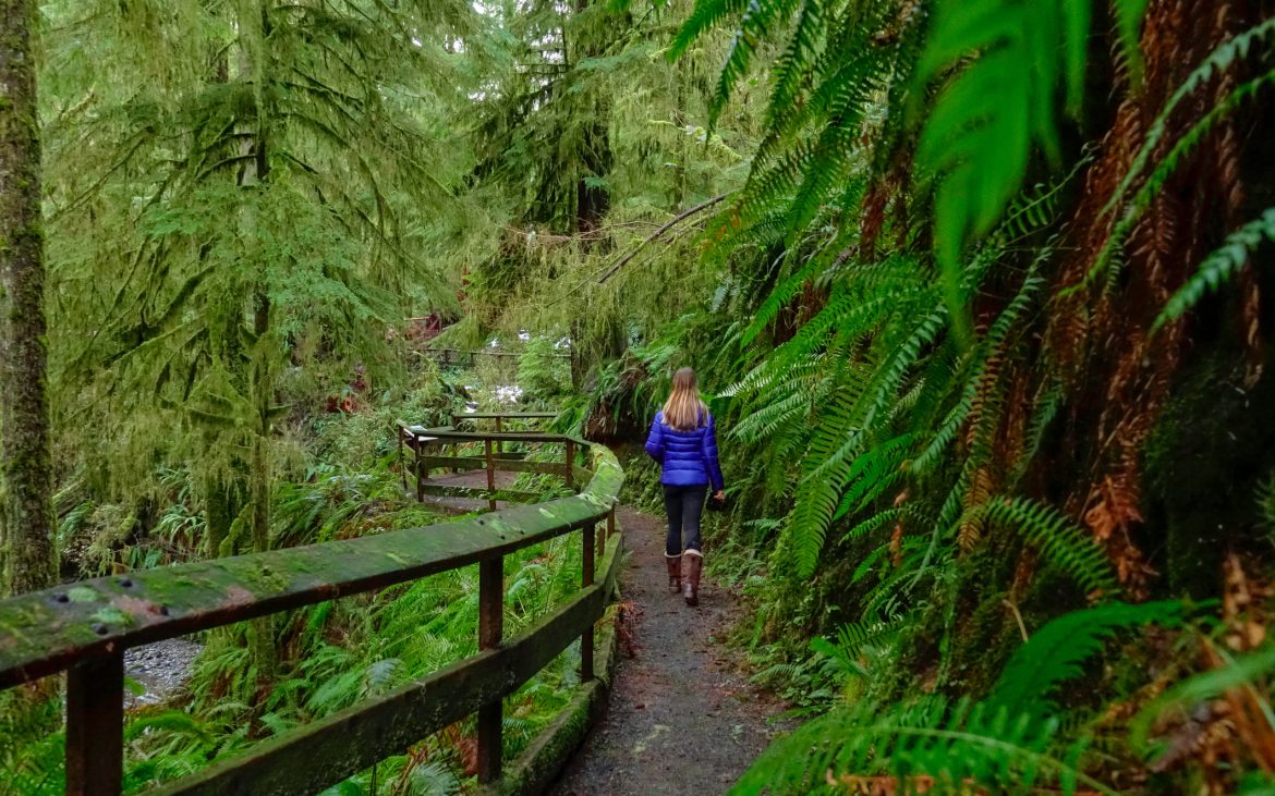 Woman walking along a path in a lush rainforest.